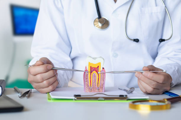 Best Emergency Root Canal Therapy in Hillandale, MD
